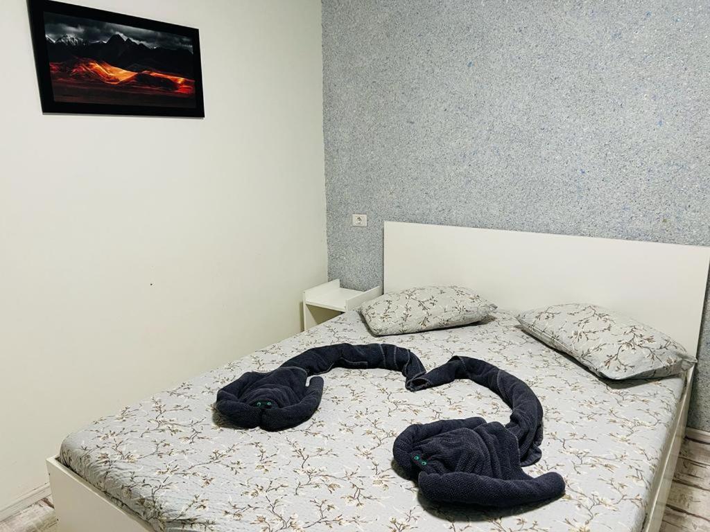 Hotel Amalya Konstanca Zewnętrze zdjęcie